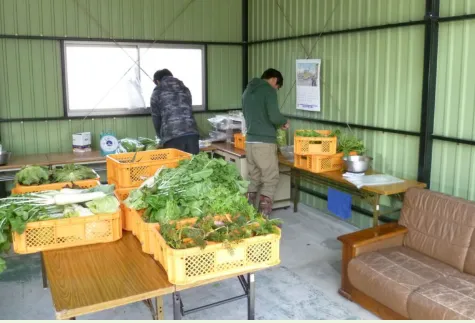 ベジモファームＢさいじょう