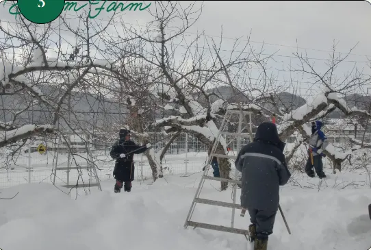 ドリームファーム