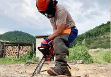 エコファームもとさわ