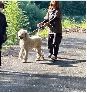 就労継続支援Ａ型事業所ガジュマル