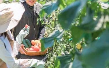 アドフューチャー