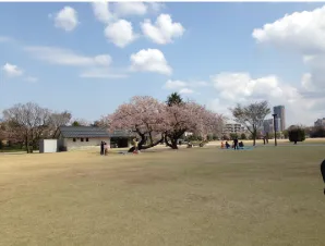 self-A・ハニービー伊勢崎