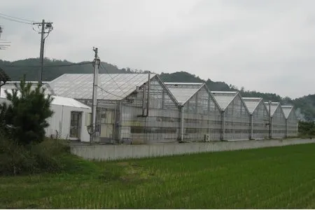 ウイズユー千代工場