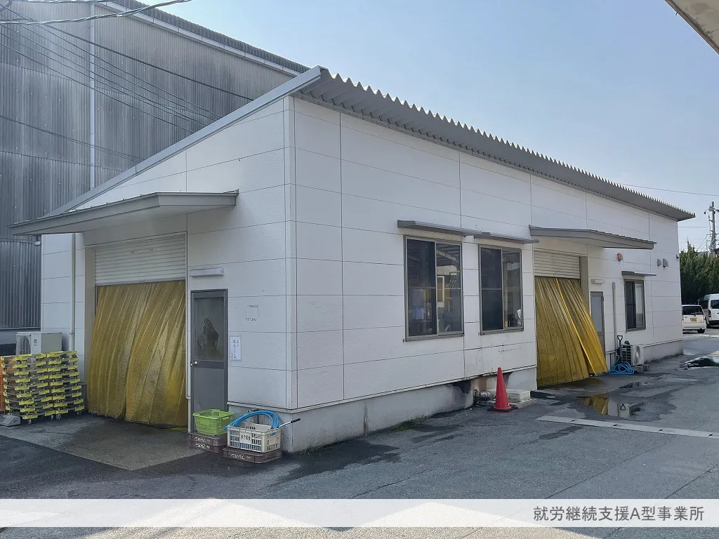 しんしあよなご