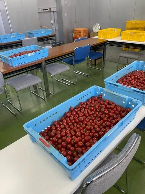 ほまれの家丸亀