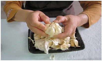 野蔵