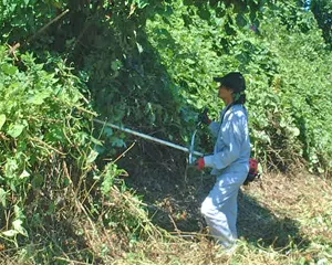 ワークセンターほたる