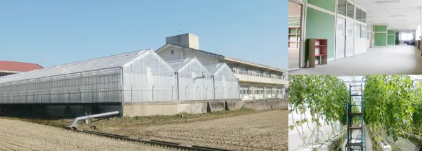 障害者支援センターまや