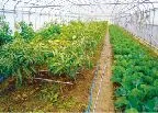 就労支援センター　グランマザー