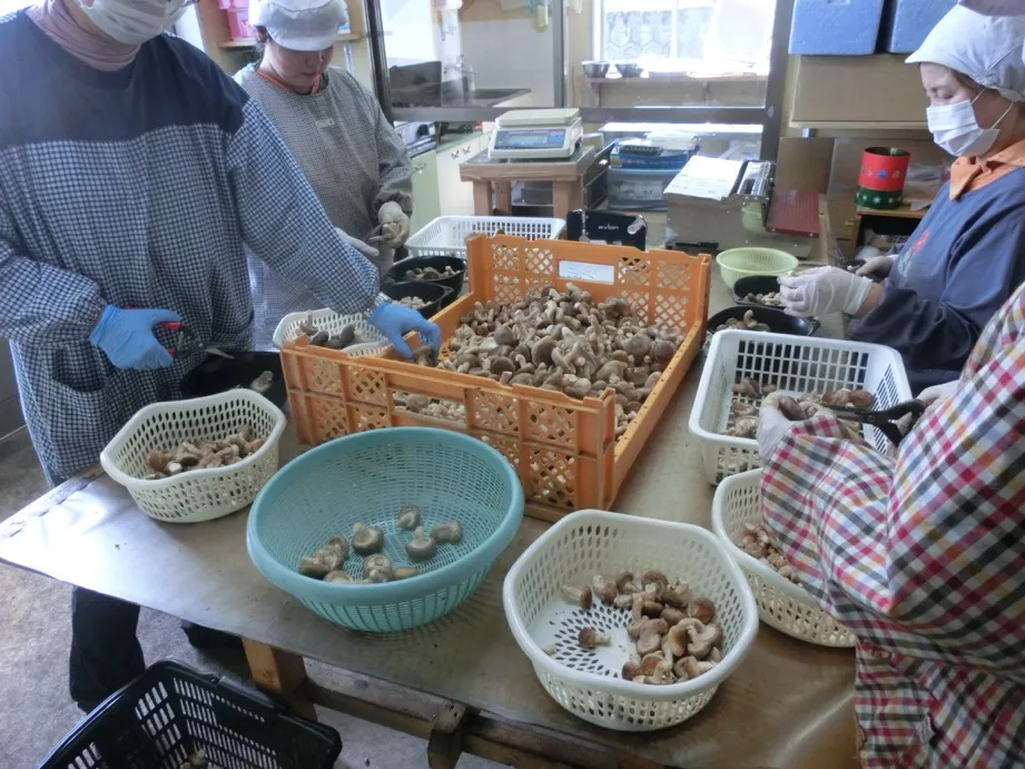 ベストライフ都城