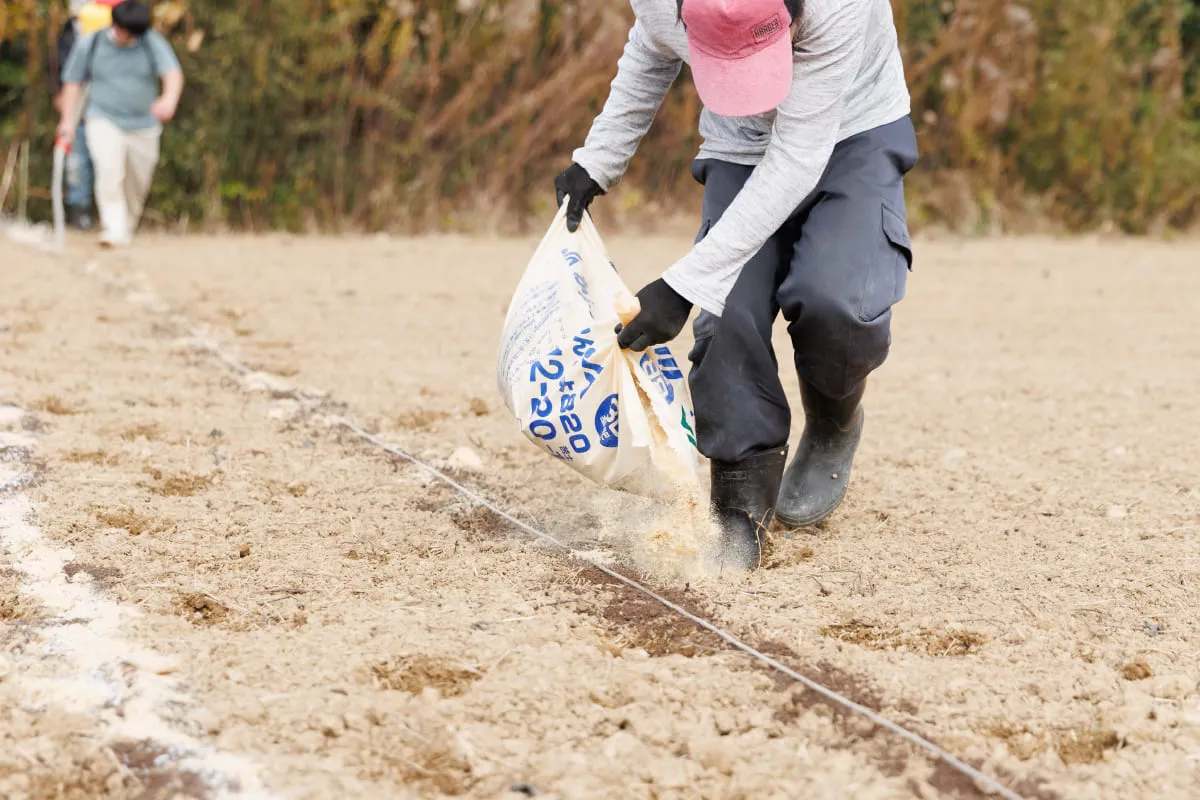 グッドフィールド