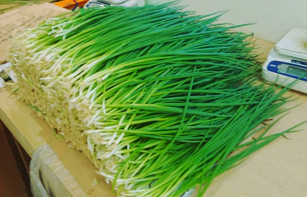 多機能型事業所　ぽわろ