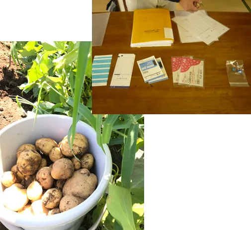 多機能型事業所いちほ