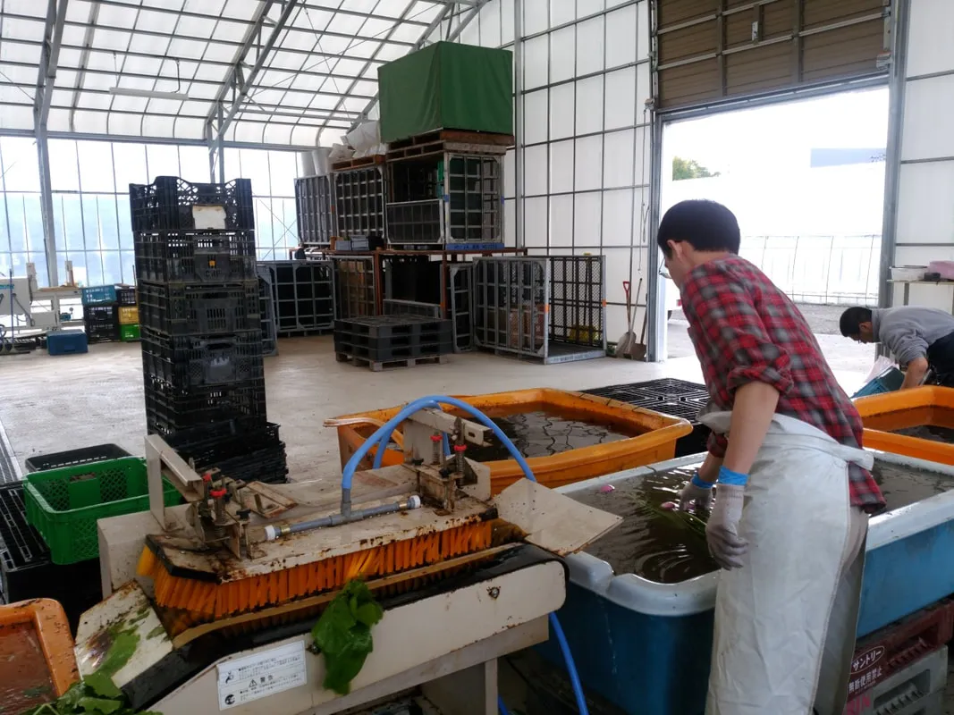 さぽーとセンターこねくと