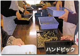 障害福祉サービス事業所　かがやき