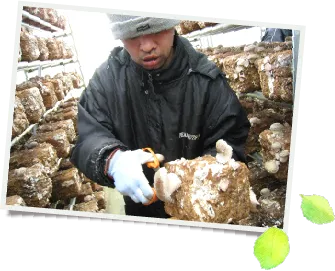 作業ｾﾝﾀｰふじなみ