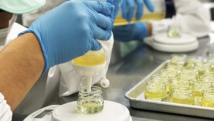 クローバー　ドンバスの家