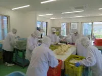 どんぐりファーム西寺尾