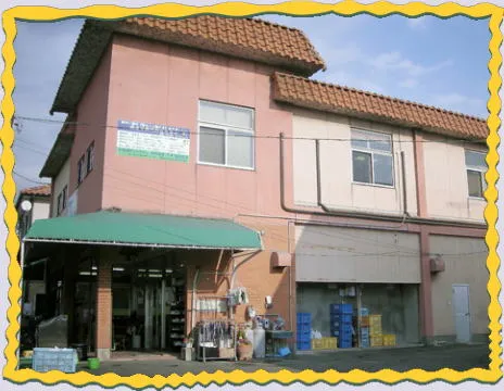 みどりがおかコスモス