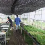 岡山県健康の森学園障害者支援施設