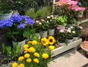 多機能型事業所クイーン