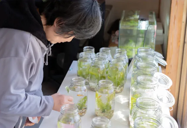 めぐ就労継続支援B型加須