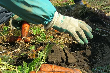 株式会社エンポート佐世保