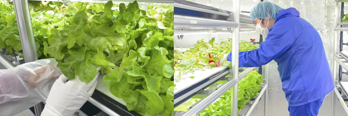 すこやかワクワーク