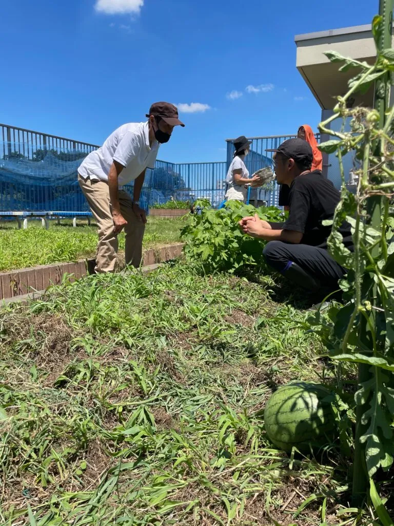三鷹ひまわり第一共同作業所