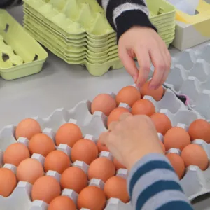 ワークショップさかえ