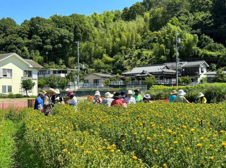 町田市大賀藕絲館