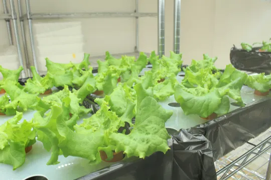 すまいる実験室