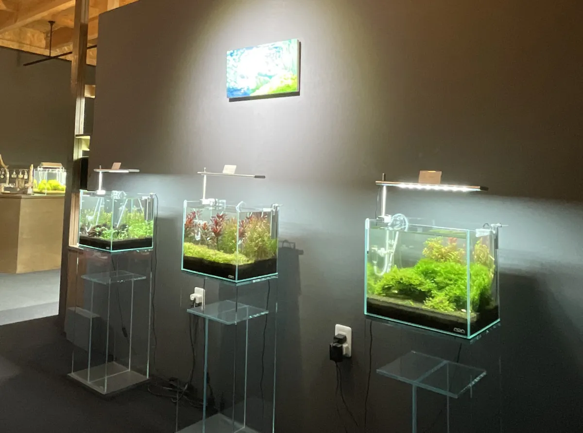 みぞのくちめだか販売店