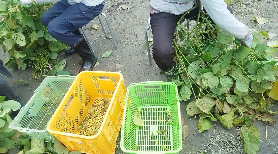 シゴトバ
