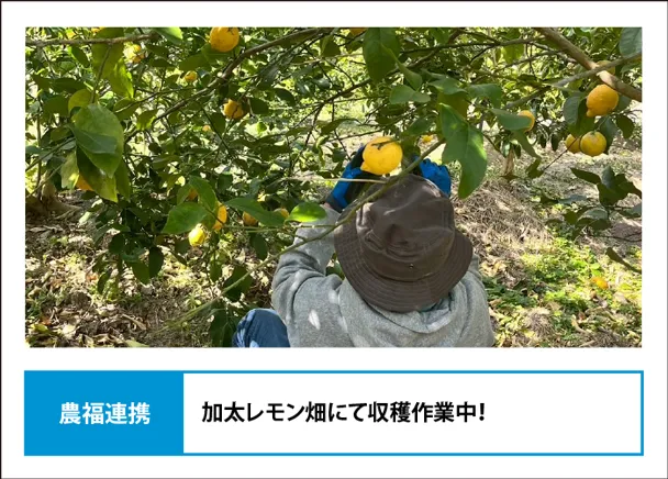 クリエイターズ
