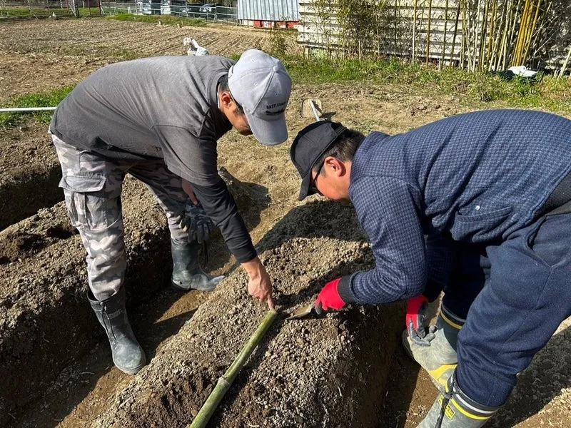 ふくろう