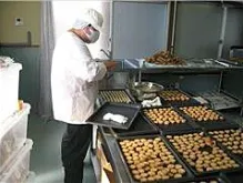 もなみ