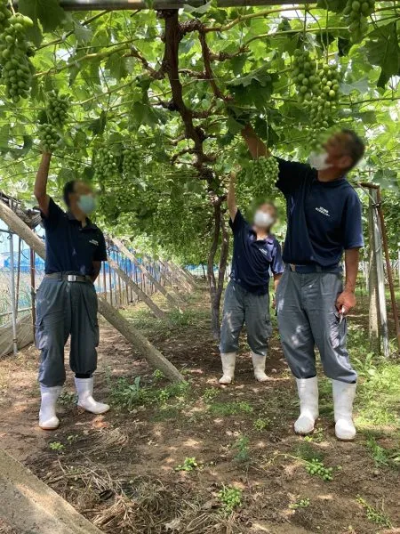 就労支援事業所　すばる