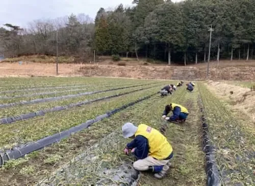 藤工房