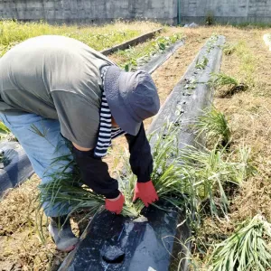 まこと
