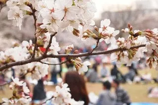 荒木学園