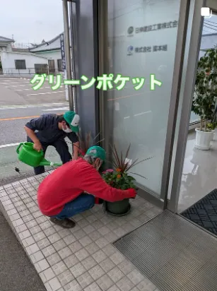 グリーンポケットⅡ