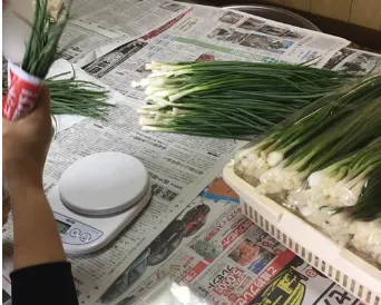 サポートサービス三和会